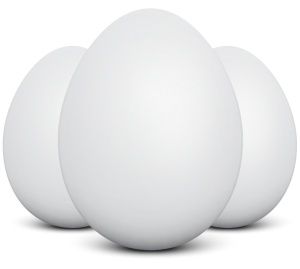 Best Egg Brand