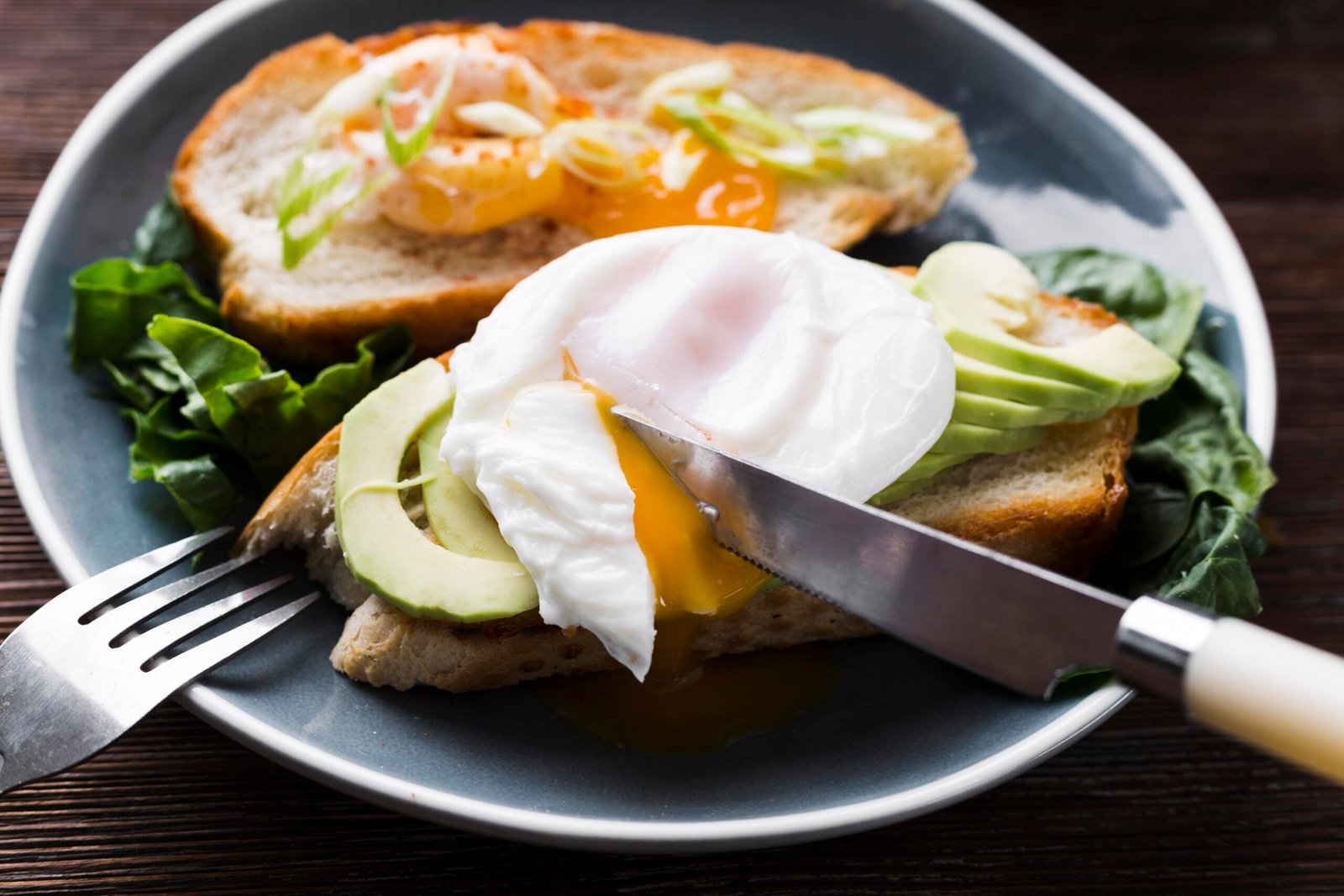 egg nutrition