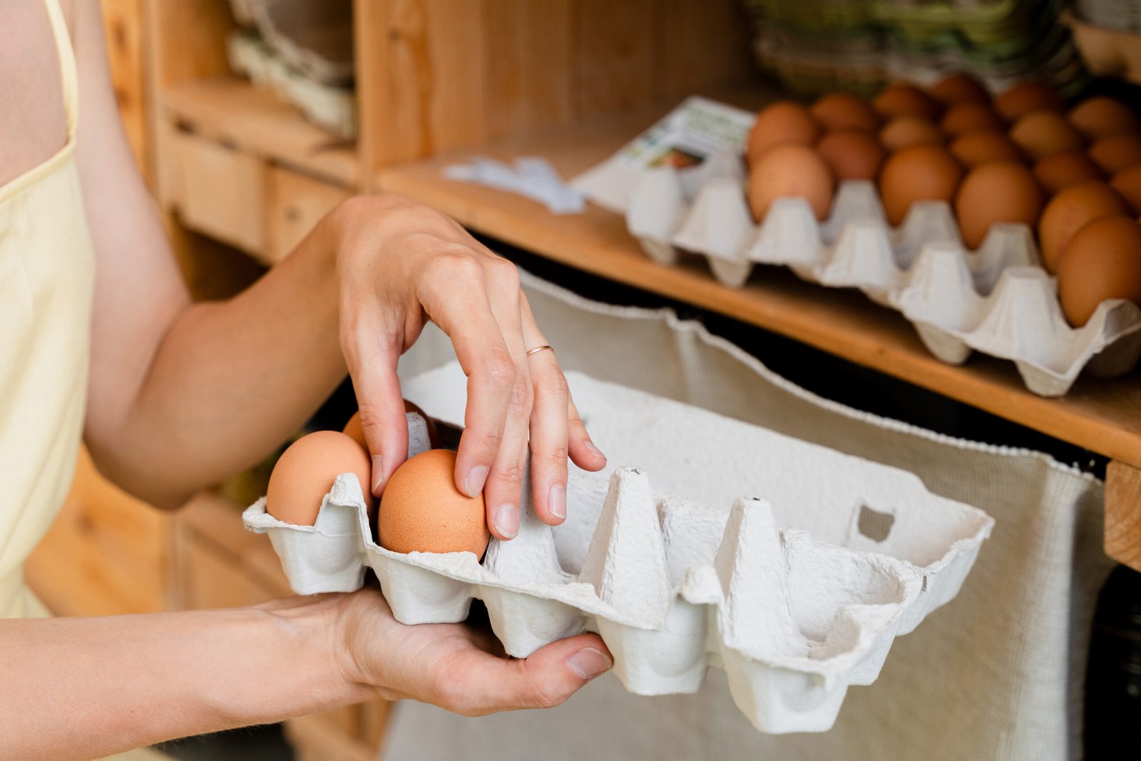 eggs